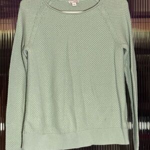 GAP Light Green Crew Neck Sweater